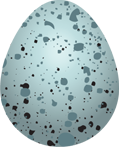 Egg